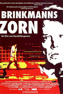 Brinkmanns Zorn