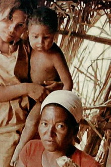 Histórias da Fome no Brasil