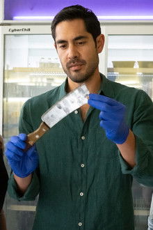 Return to Paradise - Season 1