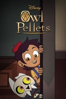 Poster da série Owl Pellets