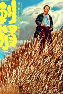 Poster do filme Ci wei