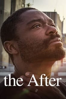 The After (WEB-DL)