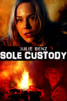 Poster do filme Sole Custody