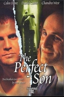 Poster do filme The Perfect Son