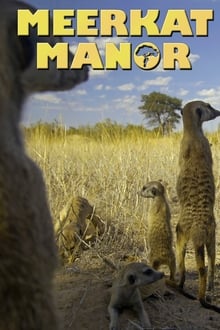 Poster da série Meerkat Manor