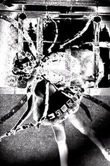 Nine Inch Nails: Came Back Haunted