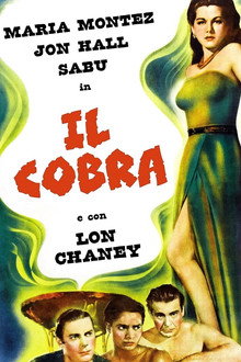 Il cobra