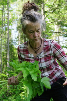 La famille de la forêt