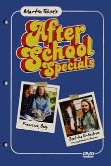 Poster da série ABC Afterschool Special