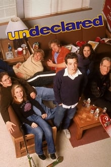 Undeclared tv show poster