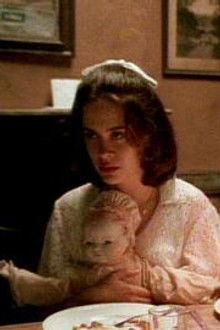 American Gothic - Season 1