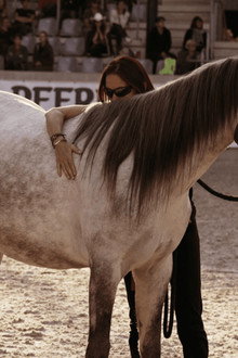 Aus Liebe zum Mustang