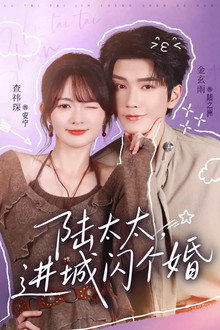 陆太太，进城闪个婚