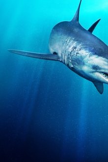 Black-Mako-of-the-Abyss