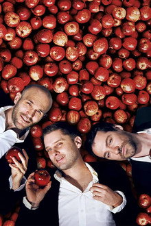 Desperate Housemen