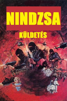 Nindzsa küldetés