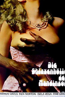 Die Sklavenhölle der Mandingos
