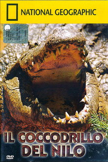 Il Coccodrillo del Nilo