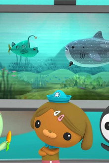 Octonauts: Creature Reports