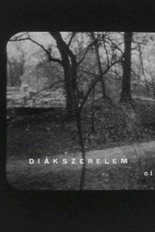 Diákszerelem
