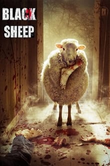 Poster do filme Black Sheep