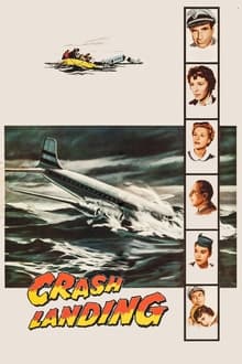 Poster do filme Crash Landing