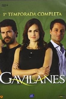 Poster da série Gavilanes