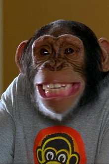 MXP: Most Xtreme Primate