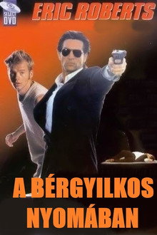 A bérgyilkos nyomában