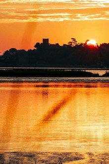 Curlew River