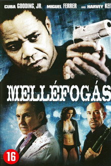 Melléfogás