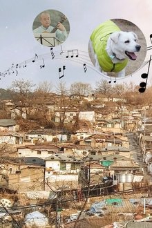 개와-고양이를-위한-시간