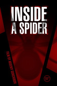 Inside a Spider
