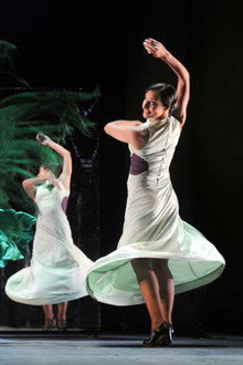 Flamenco Hoy de Carlos Saura