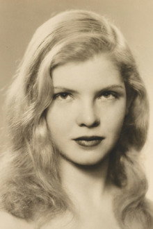 Bambi Linn