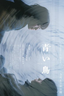 青い鳥