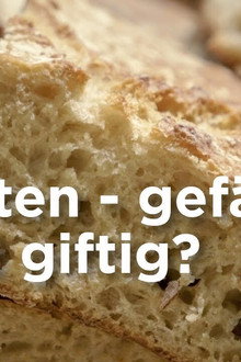 Gluten, der Feind in deinem Brot