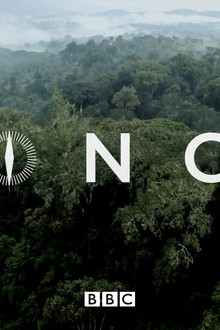Congo: A Journey to the Heart of Africa