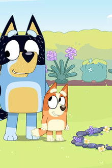 Bluey season 1 episode 30
