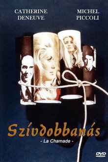 Szívdobbanás