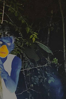 A Maldição dos Backyardigans