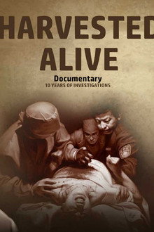 Harvested Alive - 10 Years of Investigations