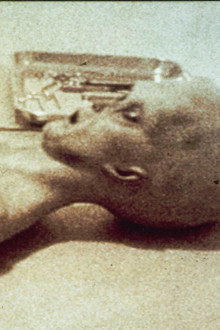 The Alien Autopsy