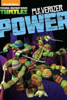 Poster do filme Teenage Mutant Ninja Turtles: Pulverizer Power