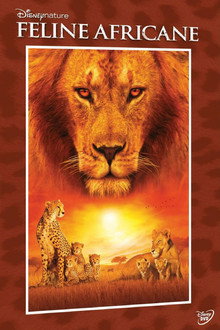 Felinele africane
