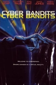 Poster do filme Cyber Bandits