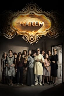 Poster da série Harem