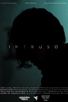 Poster do filme Intruder