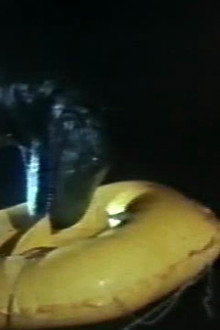 The Loch Ness Horror