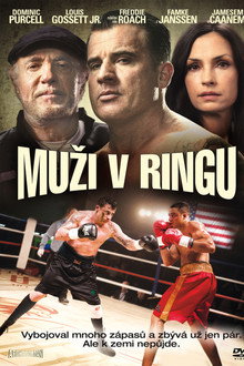 Muži v ringu
